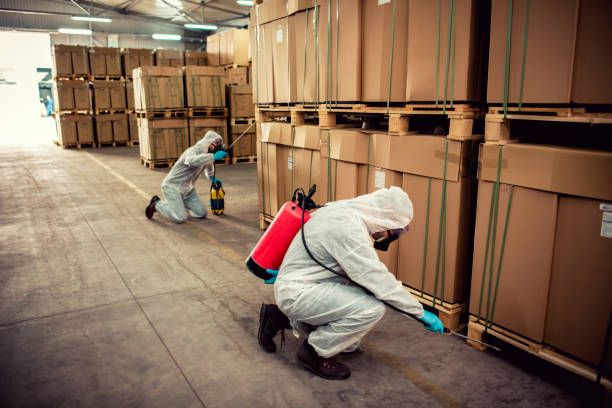 Best Rat Extermination Near Me  in Junction City, CA