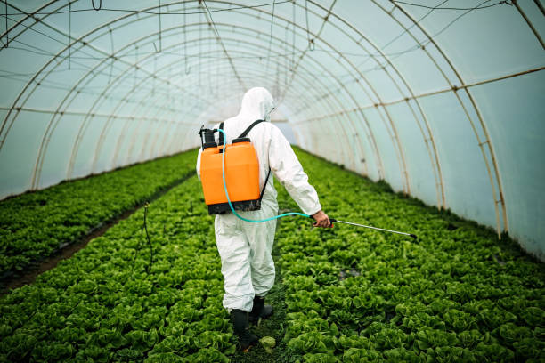 Best Pest Control Near Me in Junction City, CA
