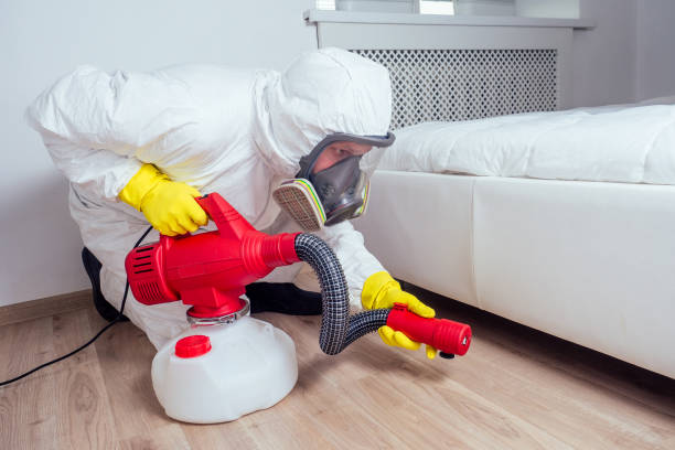 Best Emergency Pest Control  in Junction City, CA