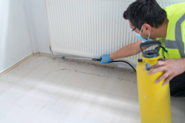 Best Pest Removal Services  in Junction City, CA
