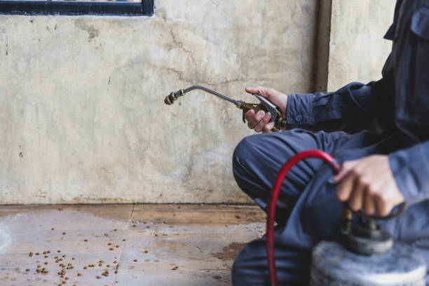 Best Local Pest Control Services  in Junction City, CA